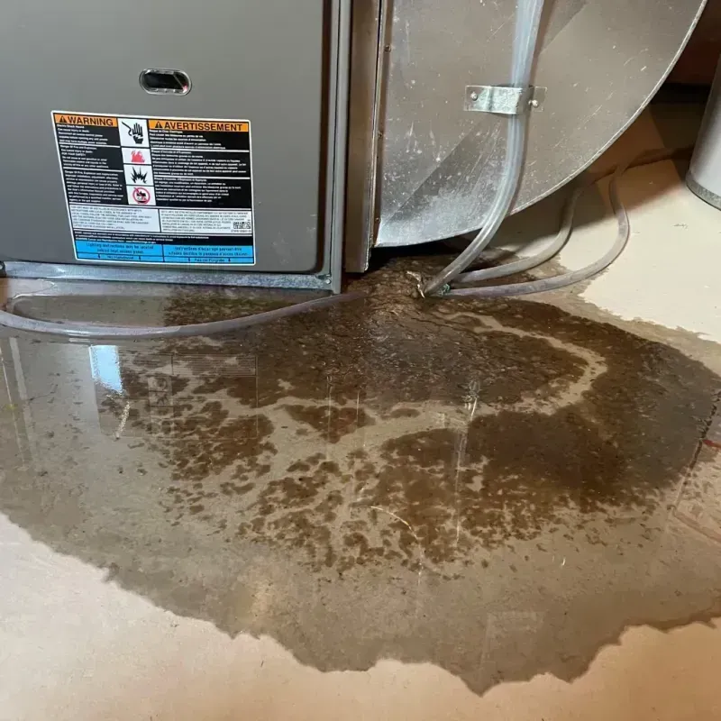 Appliance Leak Cleanup in South Yuba City, CA